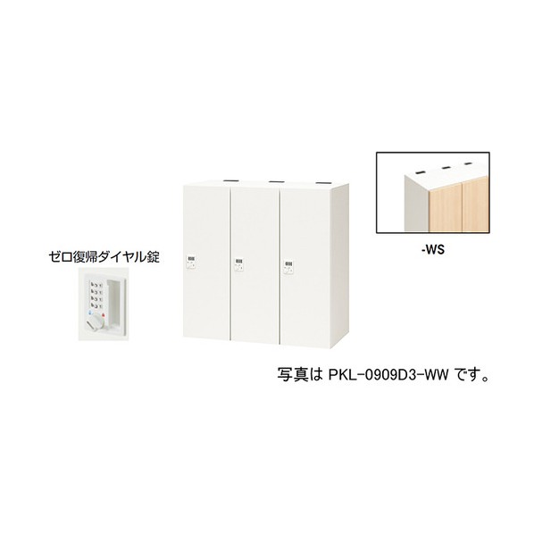 個人的ロッカー 絹地白木 PKL-0909DR3-WS 1台