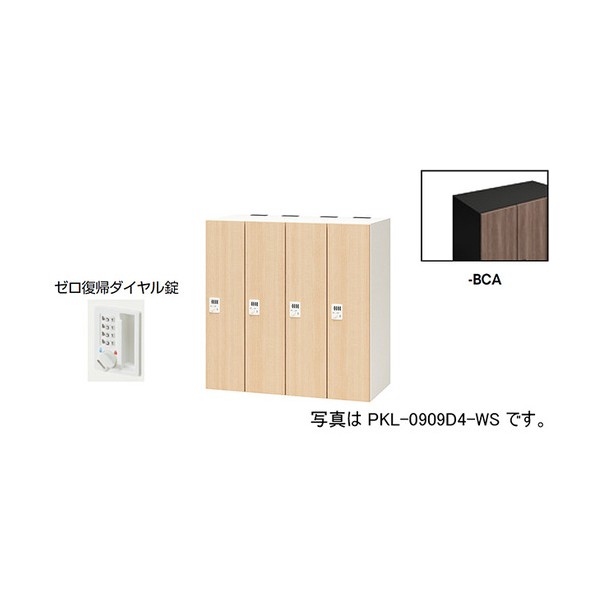 個人的ロッカー ショコラアッシュ PKL-0909DR4-BCA 1台