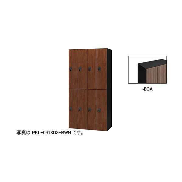個人的ロッカー ショコラアッシュ PKL-0918D8-BCA 1台