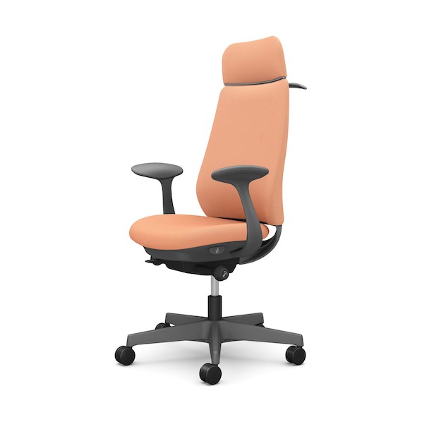 ※法人専用品※オカムラ ポータム,固定肘,背クッション,EXスタンダードタイプ,ダークグレー,ハンガー有,ランバー無,ウレタンキャスター CF28ZA FKZ7 1点|DIY FACTORY ONLINE SHOP