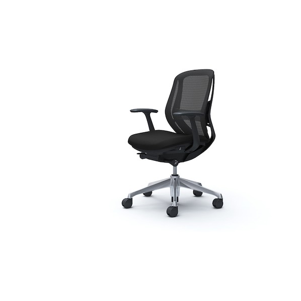 ※法人専用品※オカムラ シルフィー 固定肘 背メッシュ ロー ブラックボディ ハンガー無 ランバー有 アルミ脚 ブラック C641BS-FMP1 0｜DIY FACTORY ONLINE SHOP