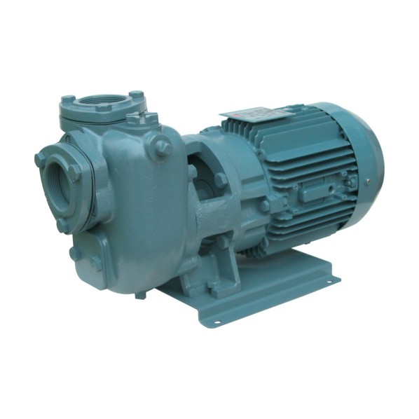 ※法人専用品※エバラ(荏原製作所) SQD型自吸ポンプ 50Hz 口径50mm 50SQFD5.75C 0｜DIY FACTORY ONLINE SHOP
