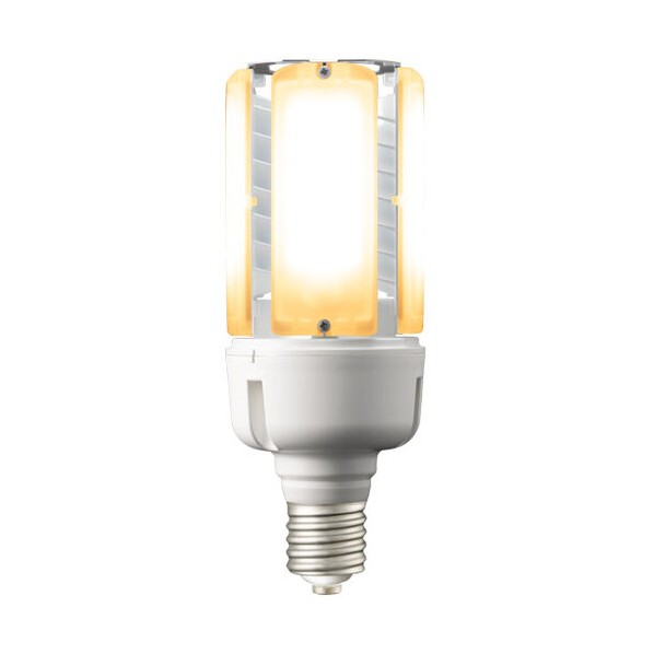 LED点火装置弁膜K69W 白熱電球色 LDT100-242V69L-G-E39 1本