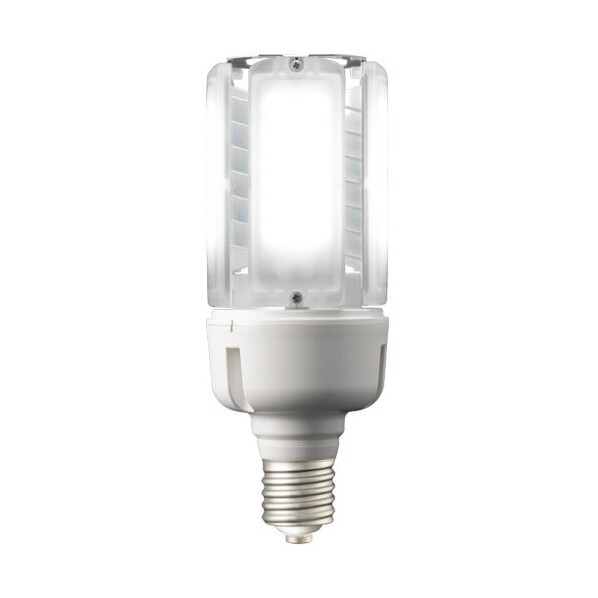 LEDライトバルブK69W 昼白色 LDT100-242V69N-G-E39 1本