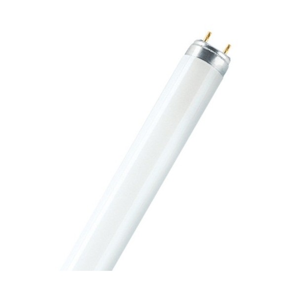 蛍光ランプ T8 G13 LUMILUX Cool Daylight(6500 K) LUMILUX T8 L15W/865 1本