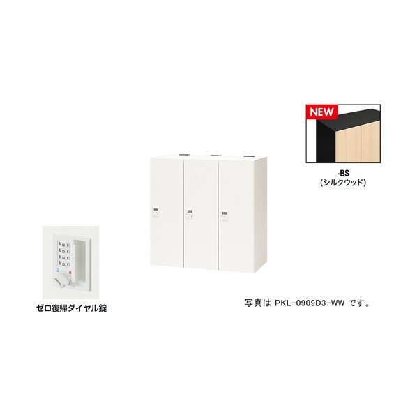 ナイキ 個人的ロッカー（3人用） 隠し PKL型/扉:絹地木材 本体:黒いこと/W900×D450×H900 PKL-0909DR3-BS 1台