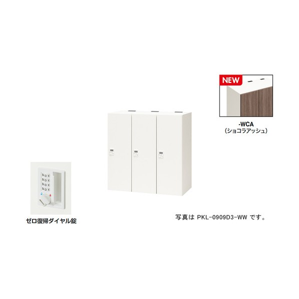 ナイキ 個人的ロッカー（3人用） 隠し PKL型/扉:ショコラアッシュ 本体:せつ然たる白いこと/W900×D450×H900 PKL-0909DR3-WCA 1台
