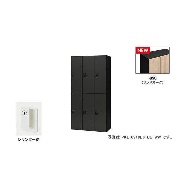個人的ロッカー（6人用） 隠し PKL型/扉:砂子オーク材 本体:黒いこと/W900×D450×H1800 PKL-09186-BSO 1台