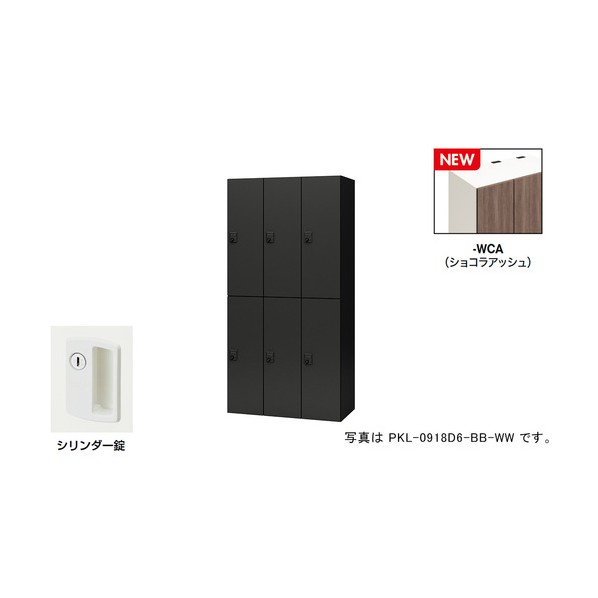 個人的ロッカー（6人用） 隠し PKL型/扉:ショコラアッシュ 本体:せつ然たる白いこと/W900×D450×H1800 PKL-09186-WCA 1台