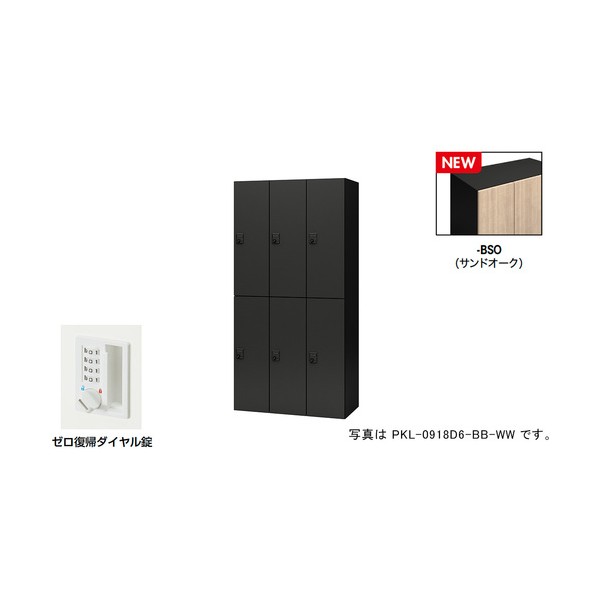個人的ロッカー（6人用） 隠し PKL型/扉:砂子オーク材 本体:黒いこと/W900×D450×H1800 PKL-0918DR6-BSO 1台