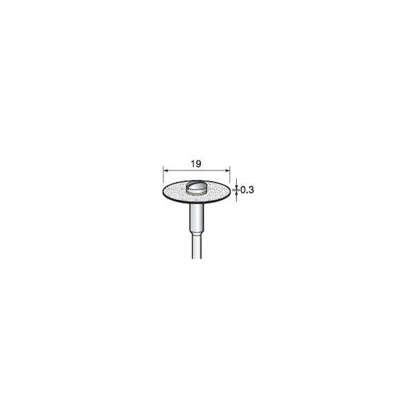 アルゴフアイルジャパン 電着時刻表レコード盤全面＃200 Φ19X0．3 Φ6．0軸 DC692 1本