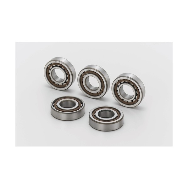 NTNセールスジャパン 円筒ころ軸受 NJ形 内輪径65mm 外輪径140mm 幅33mm NJ313EAT2X 1個