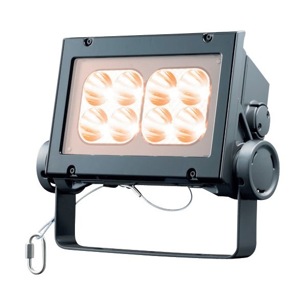 岩崎電気 LED投光器(60クラス、狭角タイプ、電球色タイプ) ECF6040N/LSAN8/DG 1点