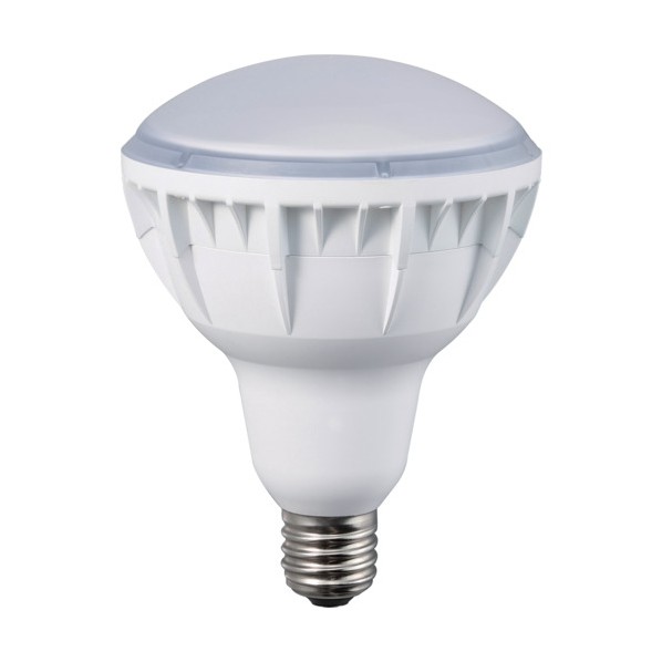 ハタヤ 40W LEDやり方灯用取り替えっこ球 223粍 LDR40N-H110 1個