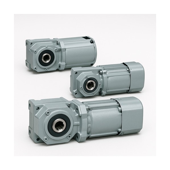 GTR MINI SERIES インダクションギアモータ 同心中実軸 F2タイプ 出力（W）15 減速比1/240 （5/1189） F2FB-15L-240-T15C｜DIY FACTORY ONLINE SHOP