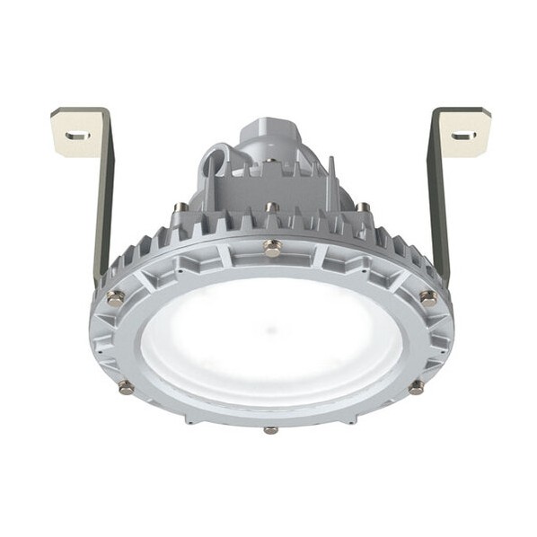 安全増防爆形LED照明器具特殊直付形 EYIL9081ASA9-22 1台