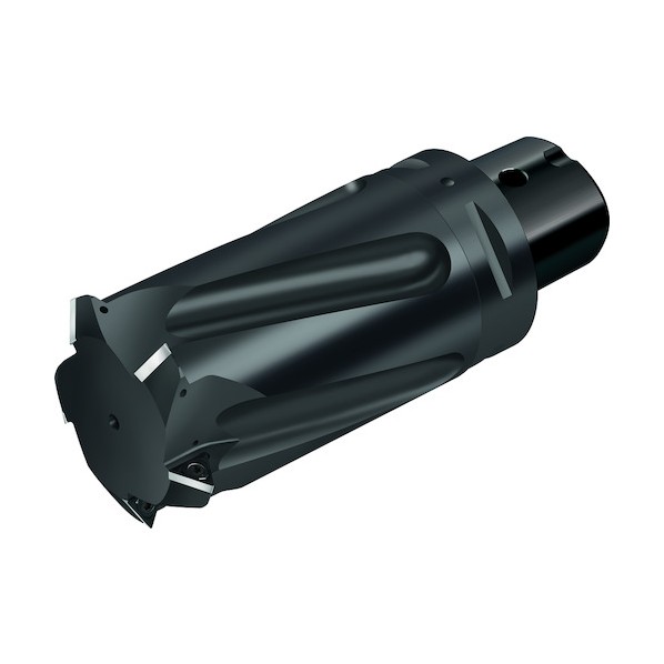 チップ式ねじ切りカッター T2713-94-C8-5-22｜DIY FACTORY ONLINE SHOP