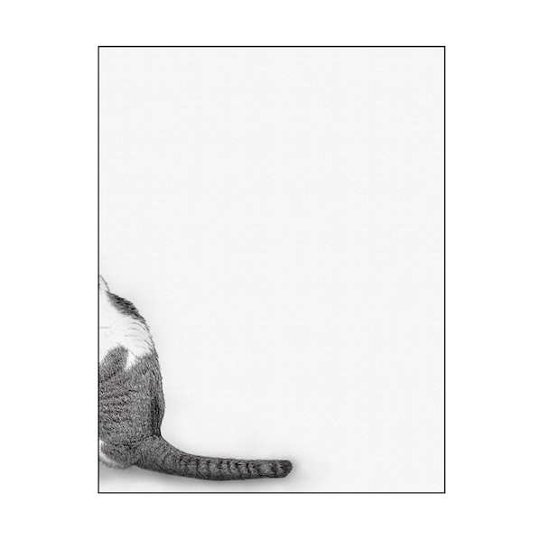 キャンバス Sketch 猫のしっぽ F6 No.43197 6300044117 1枚