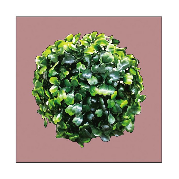帆布 Plant 緑であること S30 No.43162 6300044124 1枚 掲示板・コルクボード-文房具・事務用品