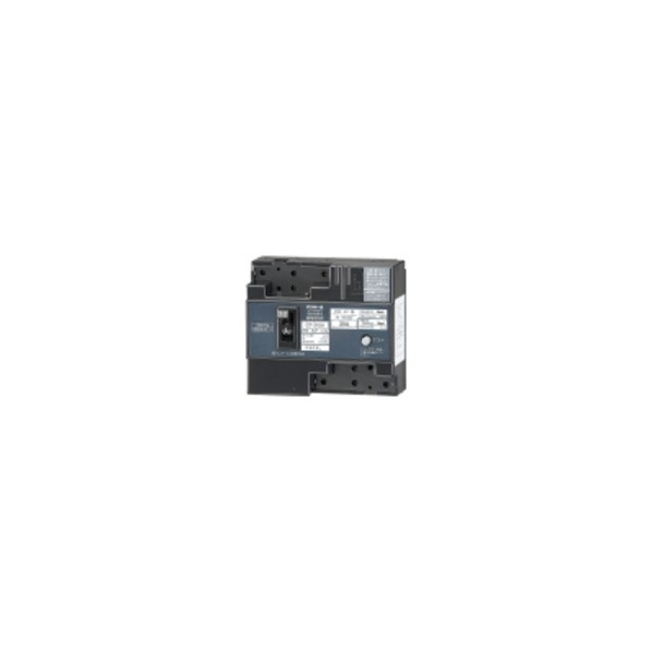 漏電遮断器:地絡保護専用 GT31EA3015