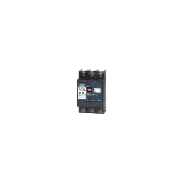 テンパール工業 配線用遮断器 Eシリーズ 経済タイプ B62EC60F｜DIY FACTORY ONLINE SHOP 7,957円