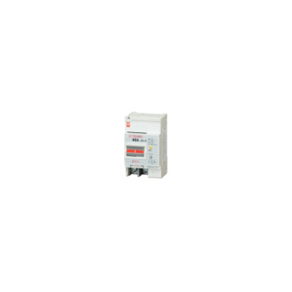 十パール産業 短絡立ちはだかる器 75A W2 200-415V 103EC07W24 1個