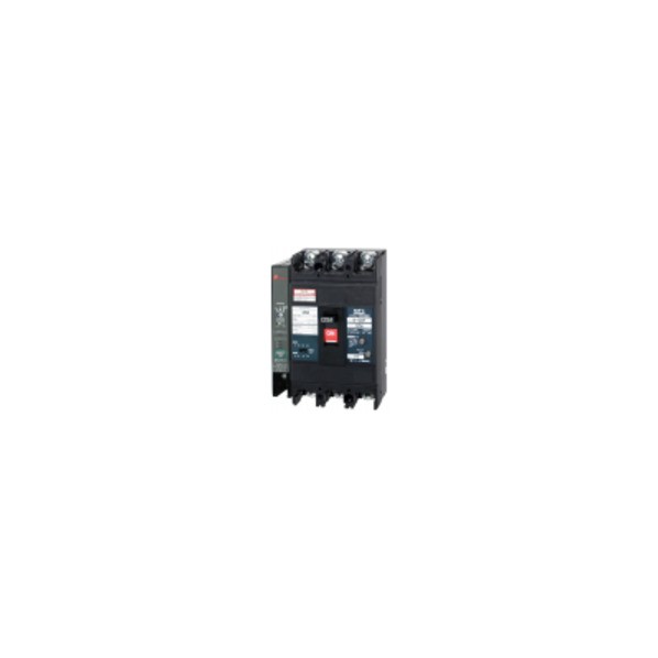 漏電遮断器:経済タイプ 103EC07100LS|DIY FACTORY ONLINE SHOP