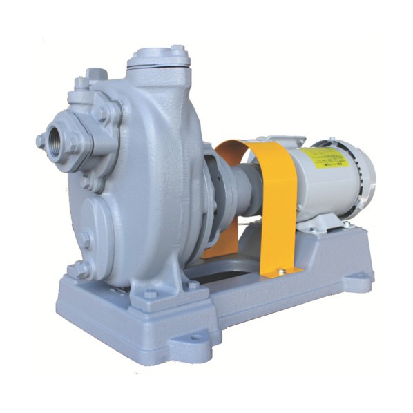 寺田 セルプラポンプ鋳鉄製グランド式50Hz 350 x 630 x 400 mm|DIY FACTORY ONLINE SHOP
