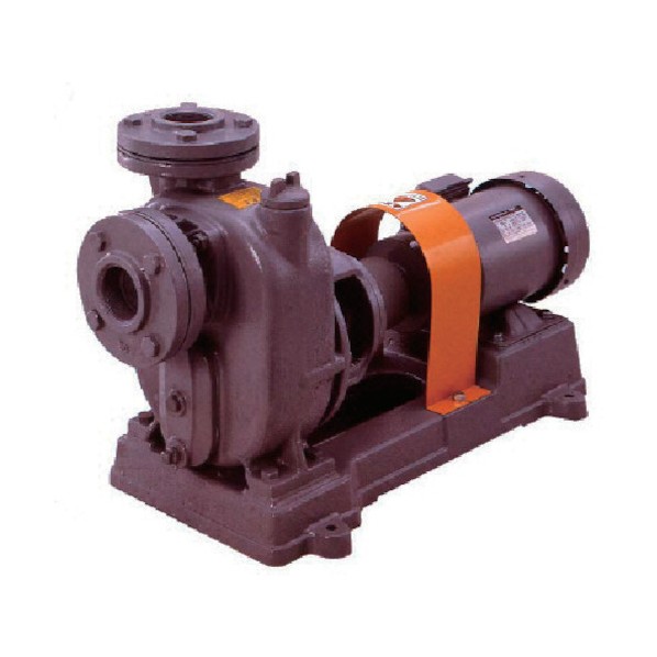 寺田ポンプ セルプラポンプ 鋳鉄製グランド式 0.2kw 全揚程4.8m 50Hz O-1GS 1点