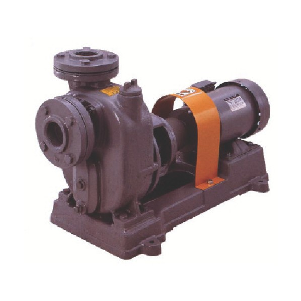 寺田ポンプ セルプラポンプ 鋳鉄製グランド式 0.2kw 全揚程6.0m 60Hz O-2GS 1点