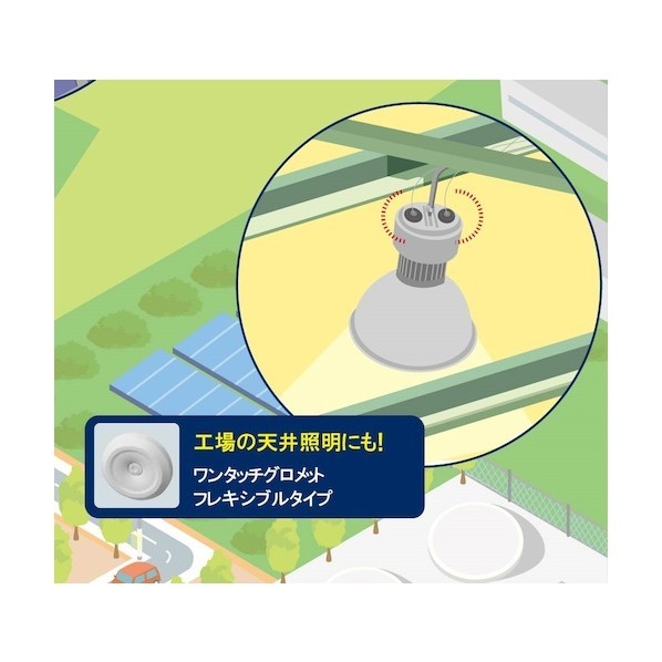 スガツネ(LAMP) (210039347)T-1475755-P50/はと目 T-1475755-P50 50個