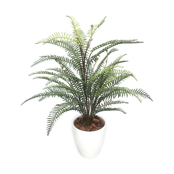 人工観葉植物 タマシダ Мサイズ 32-8711 1個