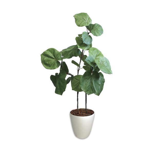 人工観葉植物 ウンベラータ Lサイズ 32-8722 1個