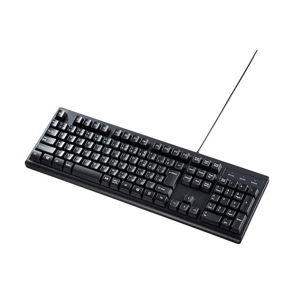 サンワサプライ 日本語109キーボード ブラック SKB-109UBK 1セット