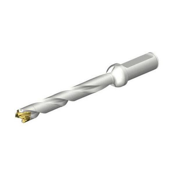 CoroDrill DE10ヘッド交換式ドリル 15-15．99mm（446）  DE10-D1500-150LX19-8