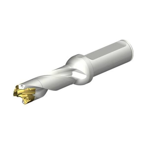 CoroDrill DE10頭顱取り替えっこ式せん孔機 17-17．99粍（446）  DE10-D1700-170LX19-3