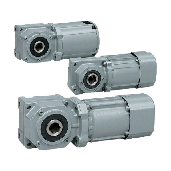 GTR MINI SERIES インダクションギアモータ 満場一致がら明き軸 F2手合い 最終生産物（W）25 減速度比1/60 （20/1189） F2SM-12-60-S25K