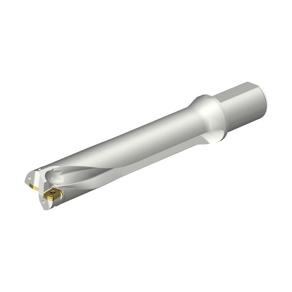 コロドリルＤＳ２０刃先取り替えっこ式せん孔機（４６５） DS20-D5100L50-05 (465)