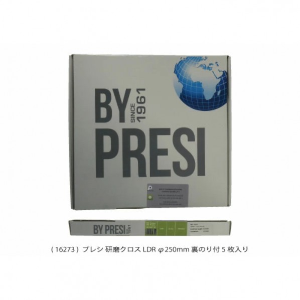 みがき上げる差し交わす    LDR φ250粍 裏のり付 AQ16273 5枚