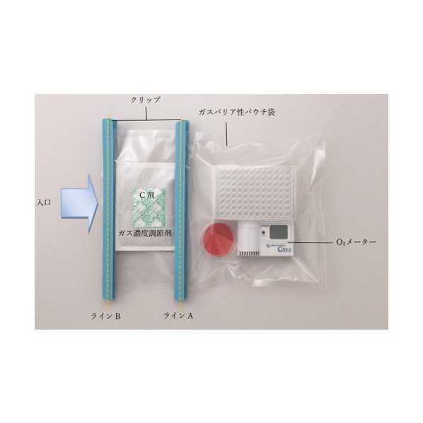 低O育みそだてる一揃いの道具 nB-3 NB-3C