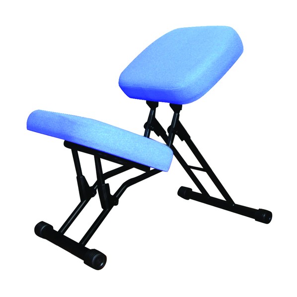 ※法人専用品※ルネセイコウ セブンポーズチェア 児童パッド フﾞル- SPC-GP 1P