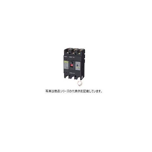 日東工業 単3知らん顔線欠相保護すること付サーキットブレーカ（経済システム形） NE258NA3P250A 1点