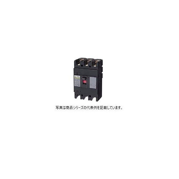 日東工業 サーキットブレーカ(経済形) NE103A3P100A 1点|DIY FACTORY ONLINE SHOP