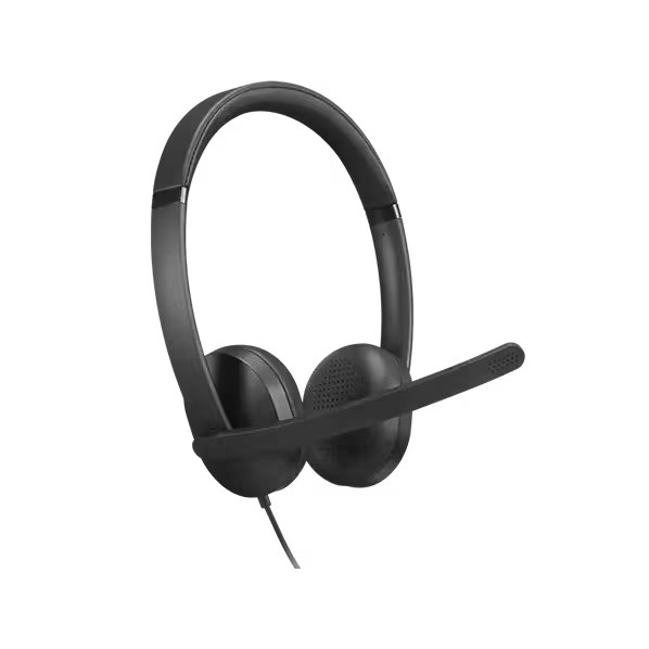 Lenovo Wired VoIP 頭顱書き割り 5000 4XD1R88995 1点