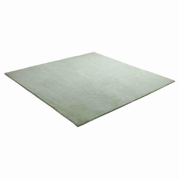 イケヒコ・コーポレーション ラピアス 140×200cm ピスタチオグリーン 1280311121503 1個