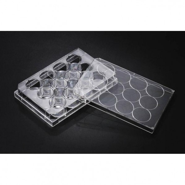 ケニス セルカルチャープレート 滅菌済 30012 50枚｜DIY FACTORY ONLINE SHOP