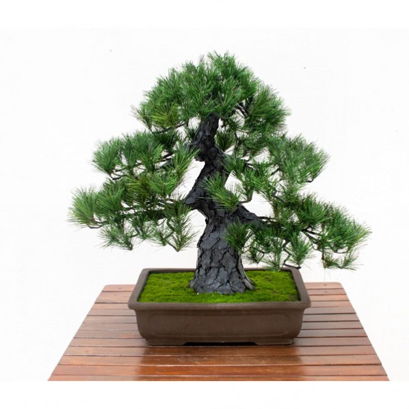 人工あずま屋/人工観葉草木 松盆栽 小 GO-518 6300073051 1個