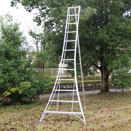 ※法人専用品※アルインコ(ALINCO) アルミ製園芸三脚 天板高さ:3.48m シルバー KWX360 1台