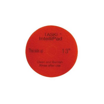 シーバイエス 立ち会い場洗い濯ぎ用パッド 読書人パッド13in W330xH25xD330粍 オレンジ色 6008265 2枚