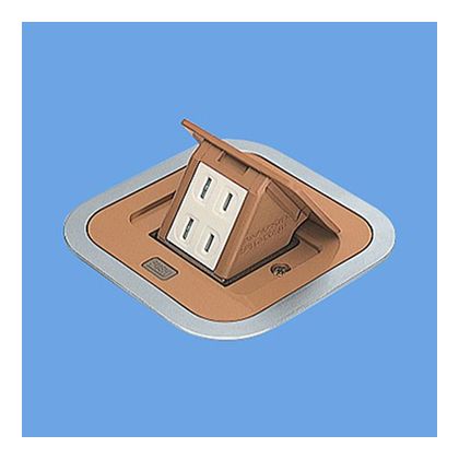パナソニック 住みか用F型アップコン角型(2個口) バーチ DU1300AK 1